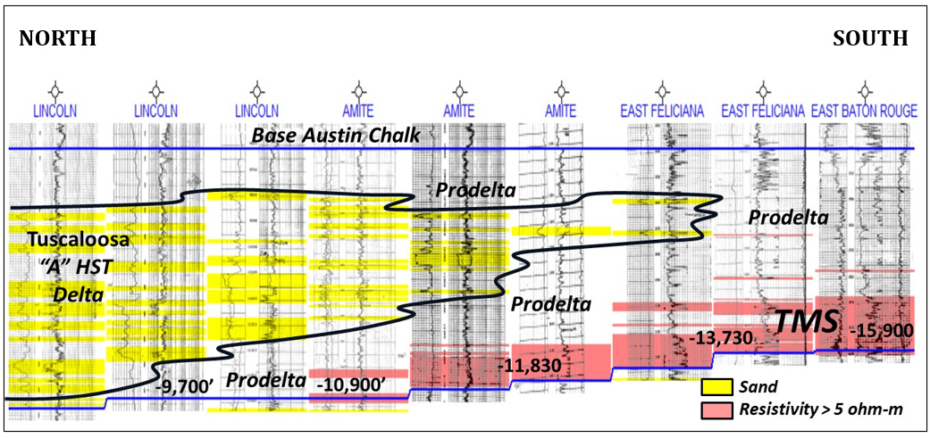 Regional cross-section of the TMS interval
